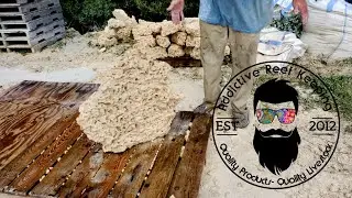 LARGEST SHELF ROCK FOR AQUARIUM