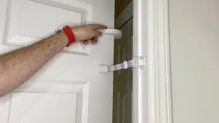 Door Buddy Review & Demo: The Key to Cat Happiness?