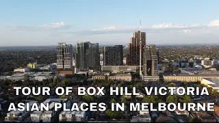 Tour of BOX HILL MELBOURNE Victoria 墨尔本华人区 博士山 | Best Bak Kut Teh outside of Malaysia