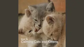Music for Calming Cats and Kittens, Pt. 1