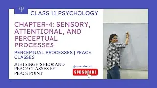 Perceptual Processes | Class 11 Psychology Chapter 4 | CBSE + CONCEPTUAL | Peace Classes