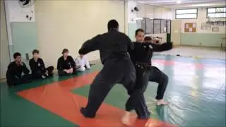 BUJINKAN YAMA UMA DOJO (  武神館 山馬 道場 ) - GUARUJ&Aacute; - S&Atilde;O PAULO - BRAZIL