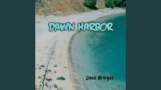 Dawn Harbor