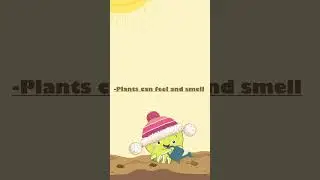 Fun Facts About Plants!!! Every kid must know #facts #plantfacts #planttrees
