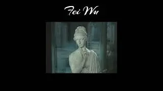Franciszek Kutrzeba - Fei Wu - Outro