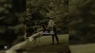 Enjoy this relaxing Golden Brown-inspired music, perfect for quiet nights and calm thoughts.#golden 