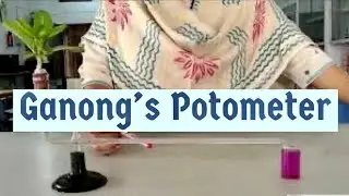 Ganong's Potometer