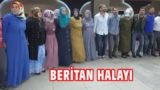 BİNGÖL BERİTAN AŞİRETİ HALAYI | SERAP & TURAN ÖZLEM DÜĞÜN SALONU