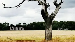 Burmand-Cutura