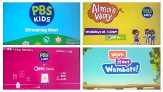 Pbs kids Program break (KNPB 2023)