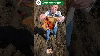 Farmers ke liye Good News | Khalsa Potato Digger | Khalsa New Technology #shortsfeed #farming