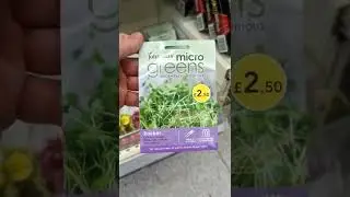 🌱 Seed Sale Savings to Snap up in Wilko 🌱 #plantsngardens #seedsale #wilko #plantbargains #gardening