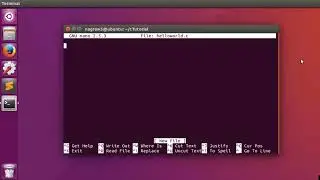 Hello World in C | First C Program | Windows mingw and Linux gcc