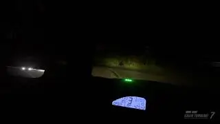 Gt7 having fun with Sophie