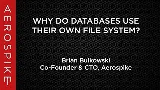 Why do Databases use their own file system?