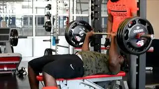 NLFA365 When Animals ATTACK Shippensburg edition vol. 1 | MOTIVATION