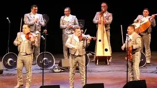 Al puro estilo Los Camperos - Tren de los Azares 👌🏻🎻🎺😍🎶 2021!!!
