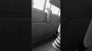 👀