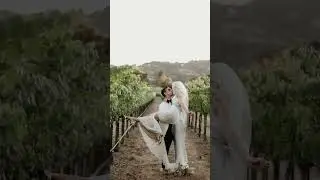 Run Away With Me Napa Wedding