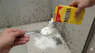 VAI SUMIR NA HORA MOSQUITOS E MURI&Ccedil;OCA- Depois disso n&atilde;o gaste mais 1 centavo 