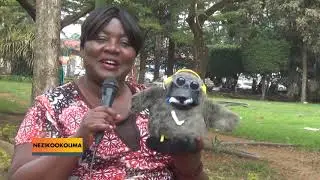 NEZIKOOKOLIMA: Abaana bye bayize mu luwummula oluwanvu. D