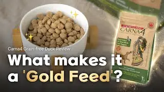Carna4 Grain-Free Duck Review