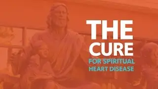 The cure for spiritual heart disease