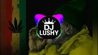 Capleton - Who Dem/Slew Dem ( Remix by DJ Lushy )