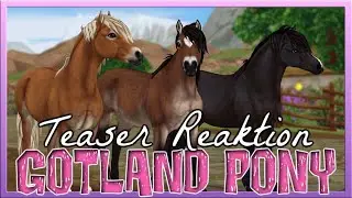 Das GOTLAND PONY 🐴💗 Star Stable Teaser Reaktion [SSO]
