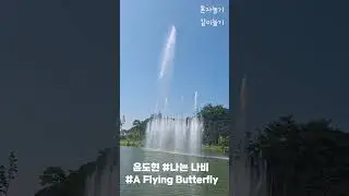 분수쇼 fountain show / 윤도현 #나는 나비 #A Flying Butterfly