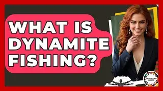 What Is Dynamite Fishing? - Anthropology Insights
