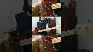 QUERO SER FELIZ TAMB&Eacute;M #natiruts #reggae #musicabrasileira #baixo #baixista #cover #bass #bassplayer