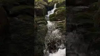Karpacz #strumyk #karkonosze #natura #polskieg&oacute;ry #łomnica  #relaxingmusic #relaxing #iphone15pro