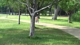 VID00165