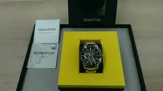 Часы наручные мужские Quantum Q-master PWG993.350