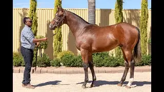 Lot 89 - Lean Mean Machine x Danedina