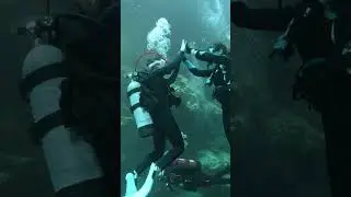 How to go scuba diving at Troy Springs State Park, FL