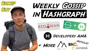 Weekly Gossip In Hashgraph &ndash; RedSwan, Hashgraph Ecosystem Updates, Developers AMA + More