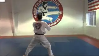 Tae Guk Yuk Jang (Blue-Red Belt Poomsae)