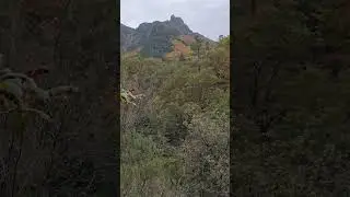 Mata da Albergaria - Campo do Ger&ecirc;s -Terras de Bouro - Braga Parque Nacional da Peneda-Ger&ecirc;s