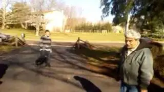 Dog shit on brians van