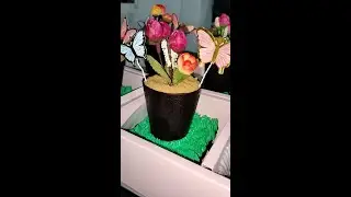 Chocolate Layered Cake Flower Pot 