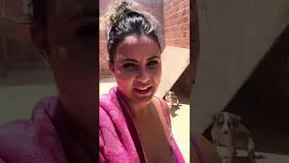 Oi vidas 