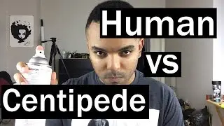 HUMAN VS CENTIPEDE