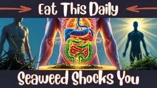 Eat Seaweed Every Day? Here&rsquo;s What It Does to Your Body! (Surprising Health Benefits)