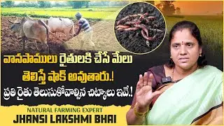 What is The Benefits of Earthworms? | How to Increase Earthworms in Agriculture Land | Vikram Tv