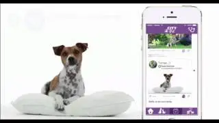 Citypet.