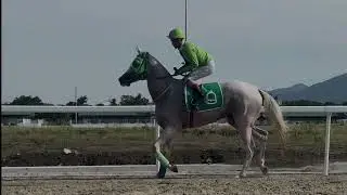 Ayan na sila! 🐎😇🎉