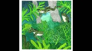 Caleb Flood - Hot Tub Music For Frogs (Full Album) | American Primitive / Finger Style Guitar
