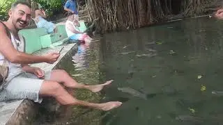 Just try to fish spa in balite tree in siquijor 